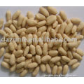 Blanched Peanut Kernels